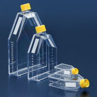 TPP Zellkulturflasche 25 cm2, filter  VE= 360 TPP Zellkulturflasche 25 cm2, Filter  VE= 360...